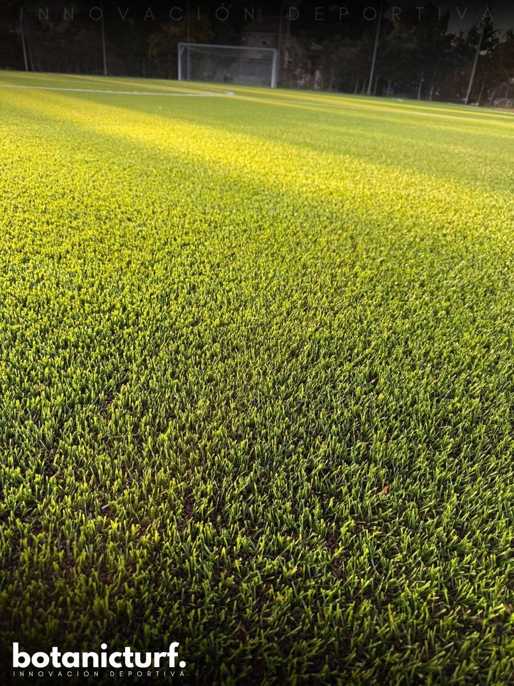 Campo de césped con luz de tarde